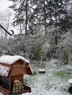 The Almighty unleashes a late April blizzard to punish the Puget Sound for their copious sins. The Almighty unleashes a late April blizzard to punish the Puget Sound for their copious sins.
