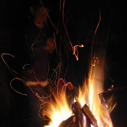 The cover for Wall Street Inferno, local musician Michael Locowitz's hit single, downloaded nearly a dozen times in the last week. The cover for Wall Street Inferno, local musician Michael Locowitz's hit single, downloaded nearly a dozen times in the last week.