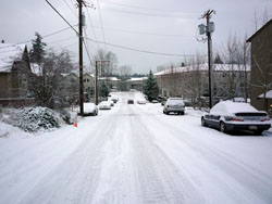 The entire Puget Sound remains a ghost town as apocalyptic winter weather continues to relentlessly batter the region.  Mommy.  Make it stop.