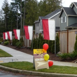 "Since the collapse of the housing bubble we've had a hard time moving these homes," said marketer Ron Freeman. "We can't afford to mess around any more, so we had no choice but to bring out the balloons." "Since the collapse of the housing bubble we've had a hard time moving these homes," said marketer Ron Freeman. "We can't afford to mess around any more, so we had no choice but to bring out the balloons."